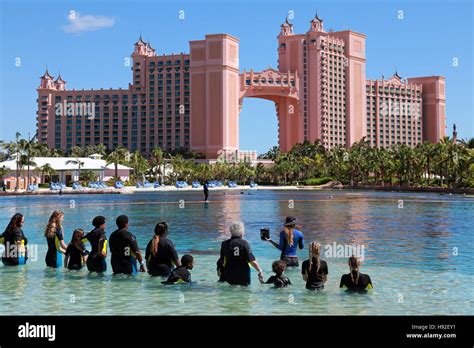 Dolphin Cay at Atlantis resort, Paradise Island, Bahamas Stock Photo ...