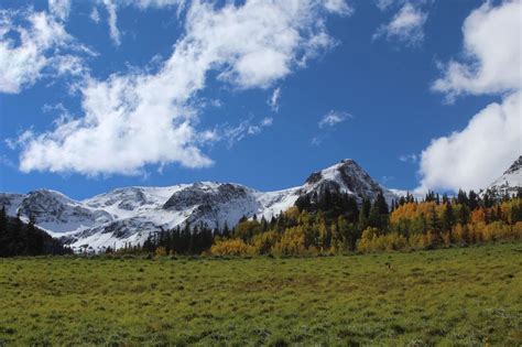 The Most Scenic Fall Color Drives in Colorado