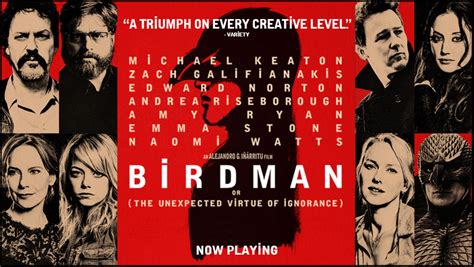 Birdman or (The Unexpected Virtue of Ignorance) | Pop Verse