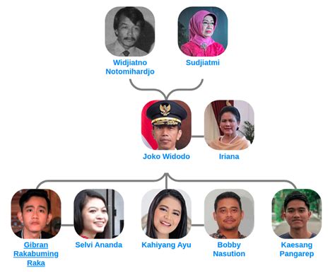 Joko Widodo’s family tree — Keluarga Jokowi - Blog for Entitree