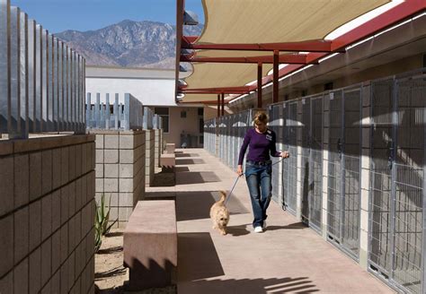 Palm Springs Animal Shelter - Architizer