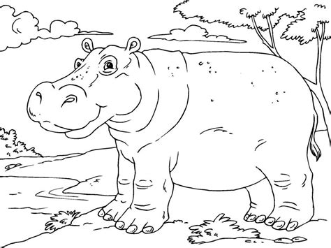 Free Printable Hippo Coloring Pages For Kids | Ausmalbilder, Flusspferd zeichnung, Wenn du mal buch