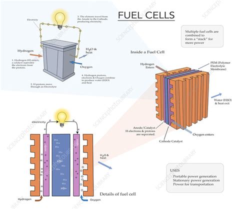 Diagram of Fuel Cell, illustration - Stock Image - C028/1050 - Science Photo Library