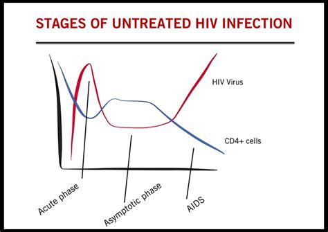 Stages of HIV Infection | CANFAR