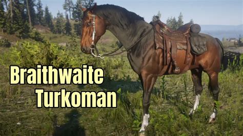 Getting the Braithwaite Turkoman - Short Version : Horse Flesh for ...