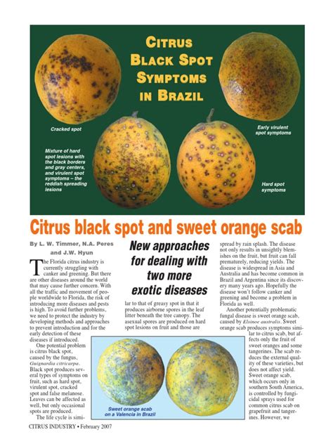 citrus black spot.pdf | Microbiology | Public Health