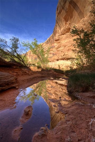 Horseshoe Canyon - Canyonlands NP | UTAH | Pinterest