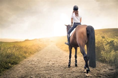 Reiten lernen für Anfänger - die besten Tipps für deinen optimalen Start - Reiterstall