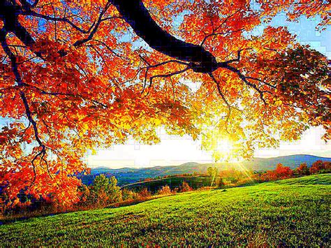 We would have bright sunny days with Autumn-Leaves being bright and colorful. We would feel ...