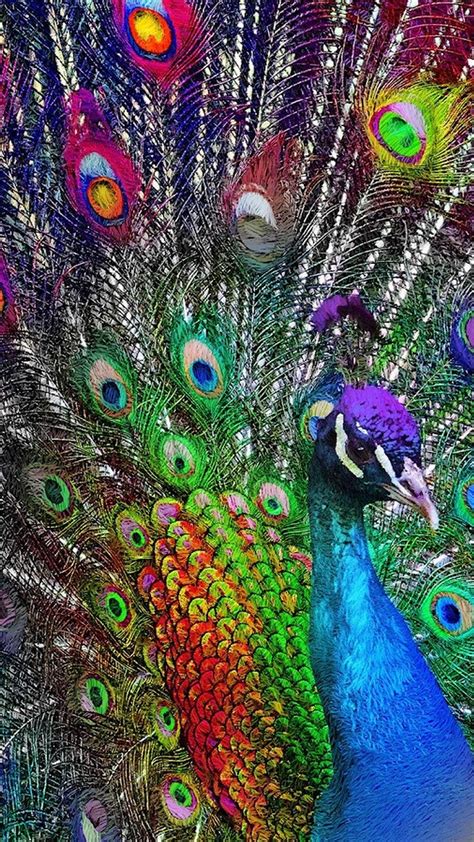 Purple Peacock Wallpaper For iPhone | 2021 3D iPhone Wallpaper