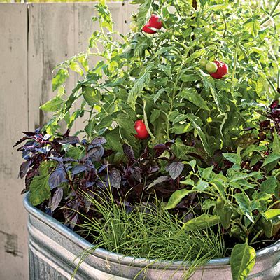 All The Joy: Tuesday 10- How to Prepare for Your Garden Right Now!