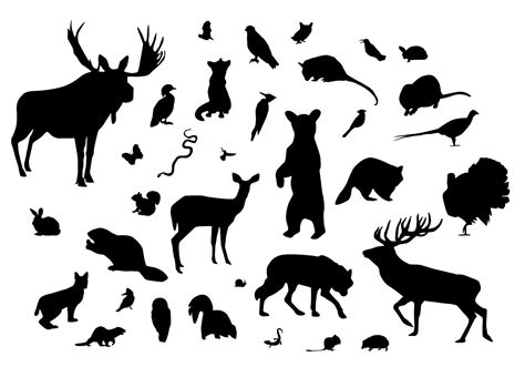Forest Animal Silhouettes 93534 Vector Art at Vecteezy