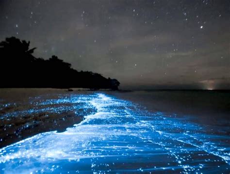 Vaadhoo Island Beach at Night, Maldives - InspirationSeek.com