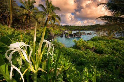 Let's travel the world!: Gorgeous Waiʻanapanapa State Park