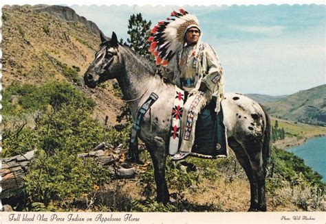 Full blood Nez Perce Indian | Nez perce, Horses, Native american pictures