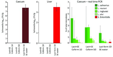 Effect of co-fermentation of lactobacilli and S. Enteritidis for... | Download Scientific Diagram