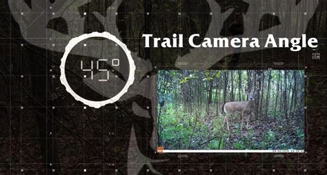 Guidelines for the Perfect Trail Camera Setup | BuckScore