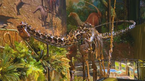 Dinosphere exhibit reopens at Children's Museum following renovations ...