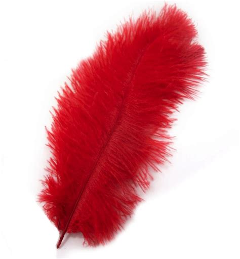 Red Ostrich Drab Feathers | Single Plumes | Feather Planet