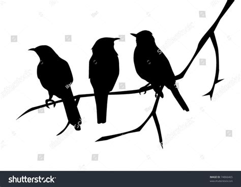 vector three birds on the branch #Ad , #AFFILIATE, #vector#birds#branch ...