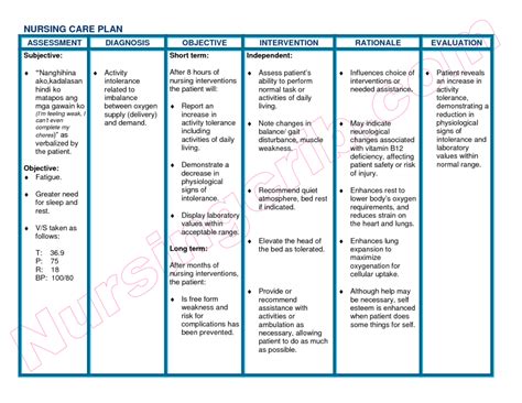 Care Plan Template | Template Business