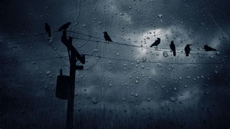 Sad Rain Wallpapers - 4k, HD Sad Rain Backgrounds on WallpaperBat