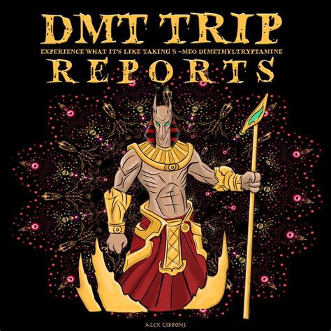 DMT Trip Reports - Audiobook | Listen Instantly!