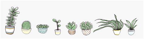 Plant Banner Png, Transparent Png - kindpng