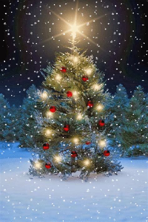 Christmas Scenes - Christmas Fan Art (40675131) - Fanpop