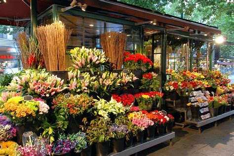 501+ Flower Shop Name Ideas with Blooming Profit Potential