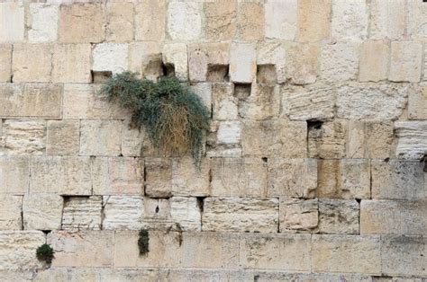 Western Wall In Jerusalem Free Stock Photo - Public Domain Pictures