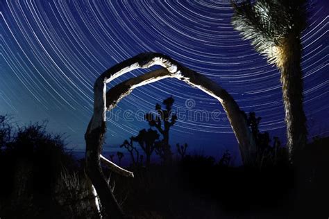 Star Trails in Joshua Tree National Park Stock Image - Image of tree, landscape: 52607289