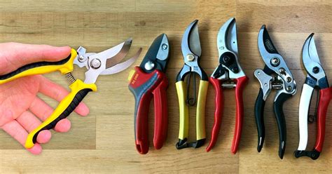 Pruning Shears: Choosing the Best Types for Your Garden