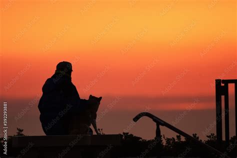 Silhouette of sunrise / old man and dog Stock Photo | Adobe Stock