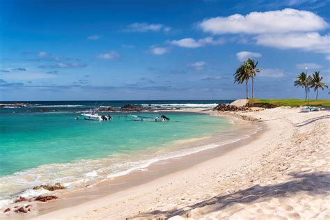 The Ultimate Visitors Guide to Punta Mita, Mexico | The Trav Nav