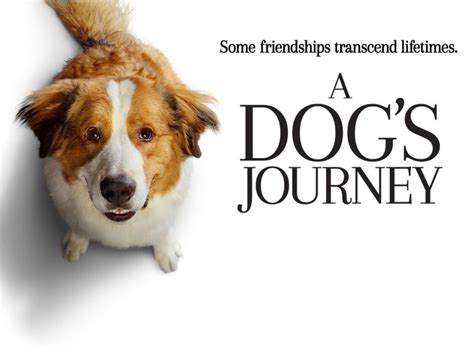 A Dog’s Journey – Movie Review – Trident