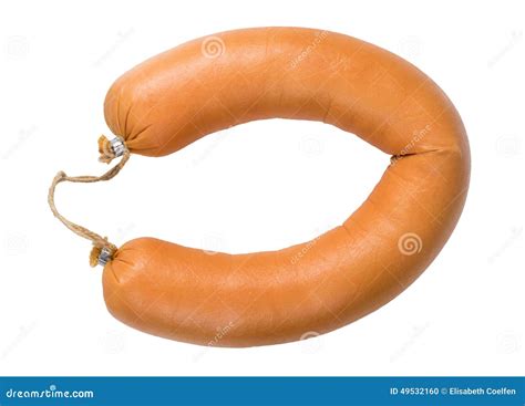 Bologna sausage stock photo. Image of fresh, food, fleischwurst - 49532160