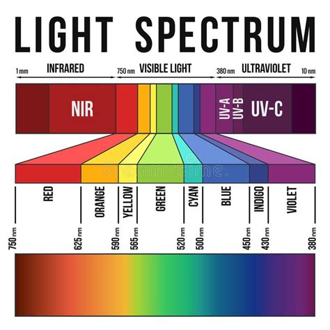 Light Spectrum. Range of the visible light and colors in the light spectrum , #AD, #Range, # ...