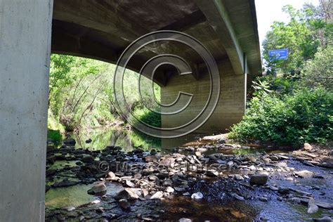 Marcel Huijser Photography | Road ecology blog: Bridge across river providing roosting habitat ...