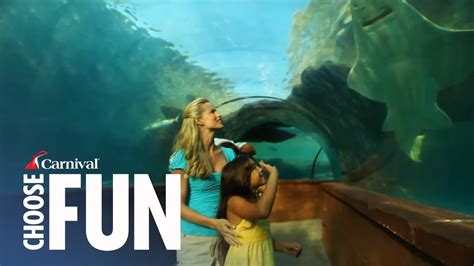 Discover Atlantis in Nassau, Bahamas | Carnival Shore Excursions ...