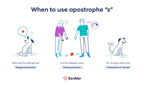 When to Use Apostrophe S ('s) | Guide & Examples