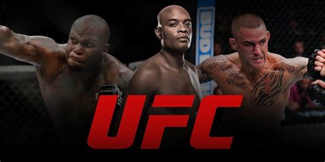 10 Fighters With The Most Knockouts In UFC History, Ranked