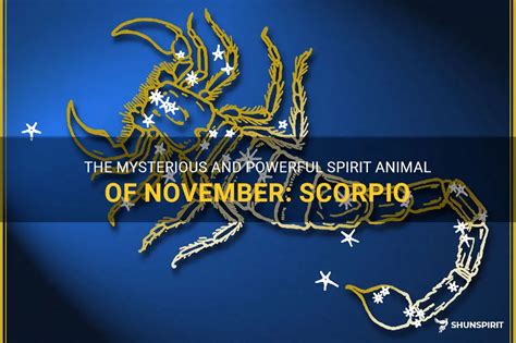 The Mysterious And Powerful Spirit Animal Of November: Scorpio | ShunSpirit