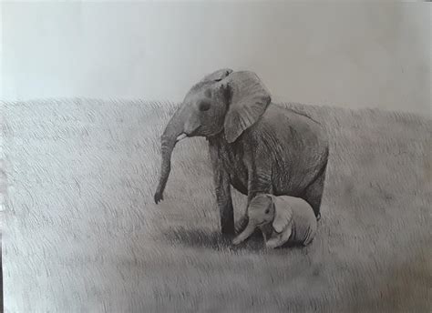 A drawing of two elephants I did for a school assignment : r/drawing