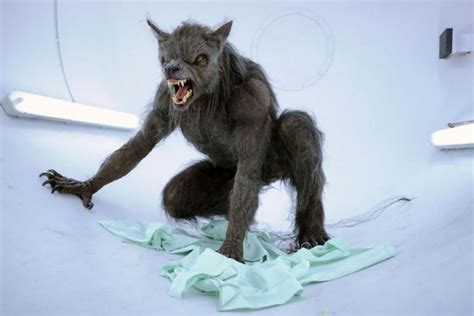 A British university is holding a conference on werewolves | Werewolf, Werewolf art, Vampires ...