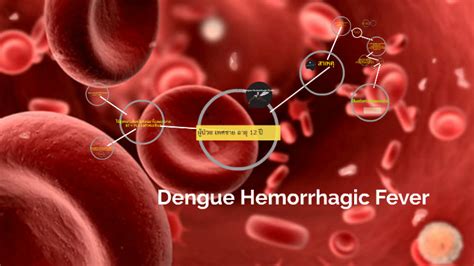 Dengue Hemorrhagic Fever by Thanjira Sanor on Prezi