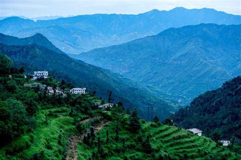 Dhanaulti Tourism (2024) - Uttarakhand > Top Places, Travel Guide