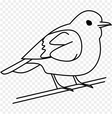 Bird Clipart For Print Out - Bird Black And White Clip Art PNG ...