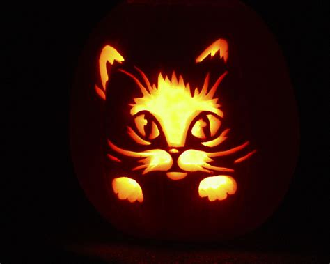 🔥 [40+] Cute Cat Halloween Wallpapers | WallpaperSafari