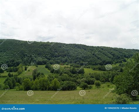 Green Hills with Forest Summer 2019 Stock Photo - Image of hills ...